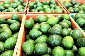 Avocado Grading