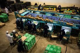 Packhouse Operations