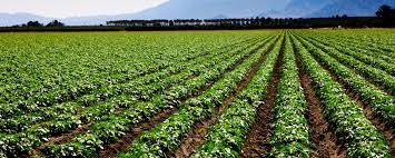 IFPE Farm Operations