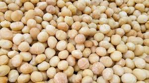 Macadamia Nuts